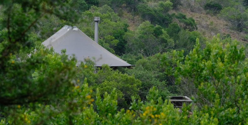 Bukela Game Lodge