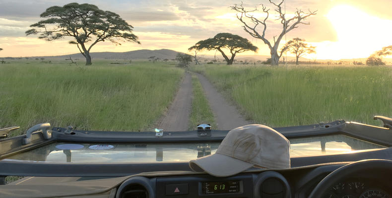 African Game Drive