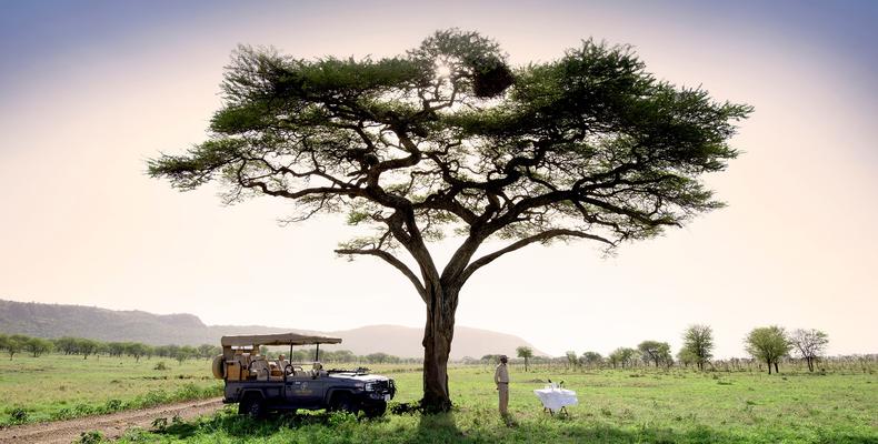 Safari Game Drive Vehicle