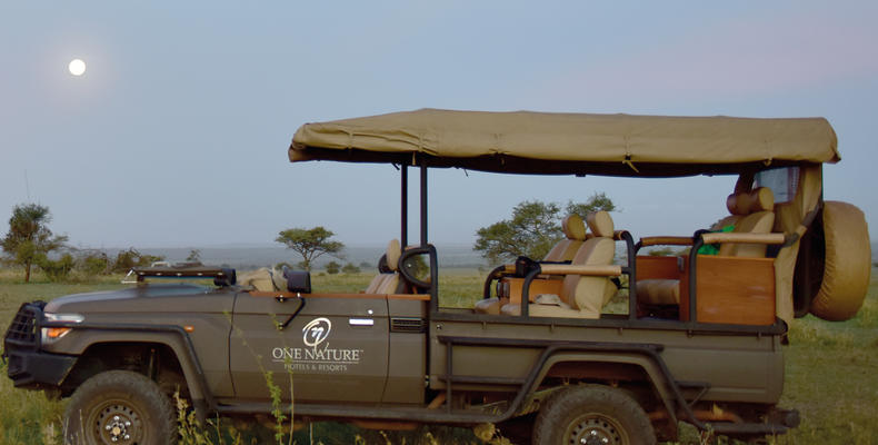 Safari Game Drive Vehicle