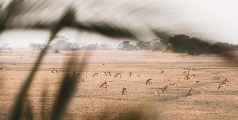 Wilderness Shumba Camp