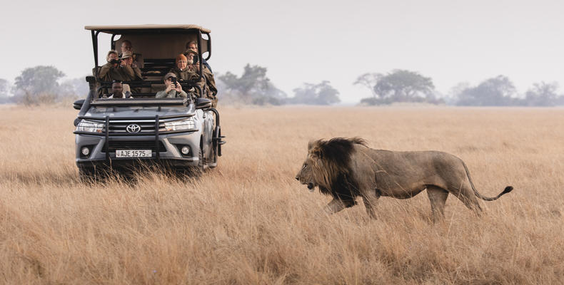 Wilderness Shumba Camp