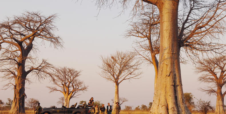 Amazing Game Drives