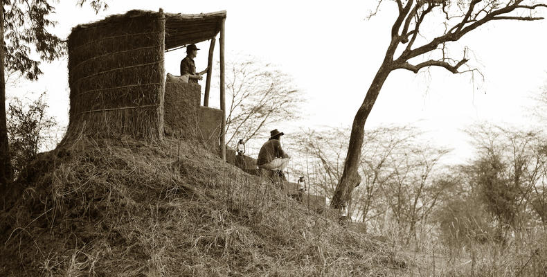 Mwamba Bush Camp Anthill Lookout