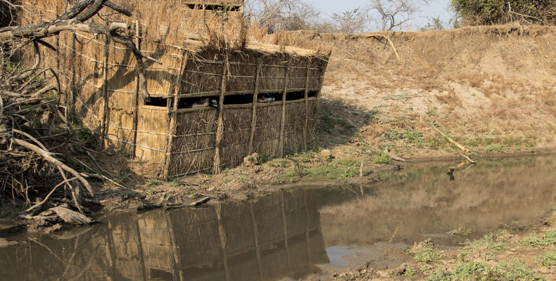 Mwamba Bush Camp Hide