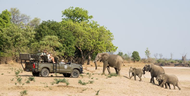 Amazing Game Drives