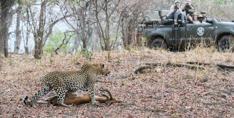 Amazing Game Drives