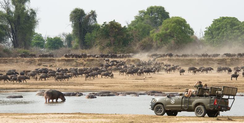 Amazing Game Drives