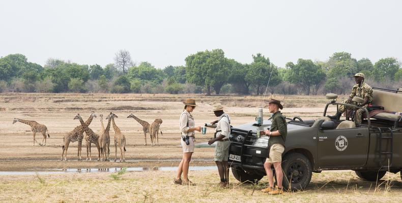 Amazing Game Drives