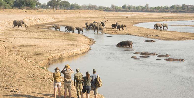 Walking Safaris