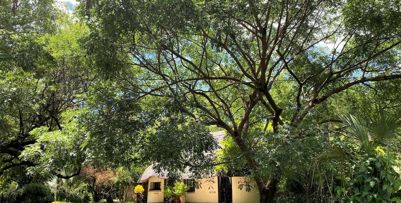 Waterberry - Wagtail and Sunbird Cottages 