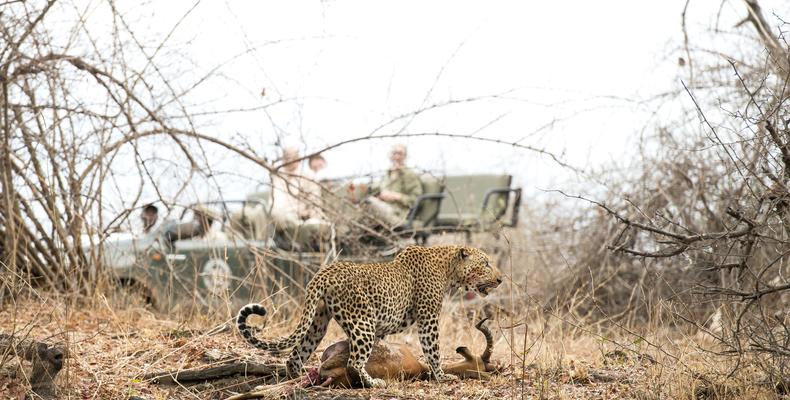 Game Drives