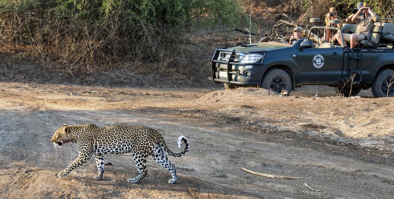 Game Drives
