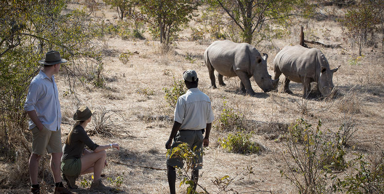 Thorntree River Lodge, Mosi Oa Tunya National Park, Zambia