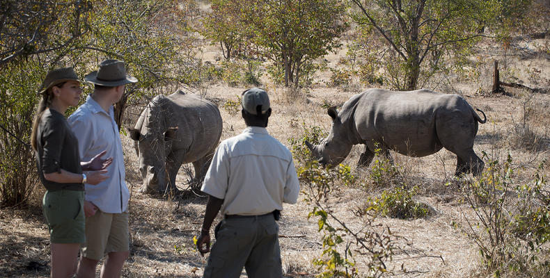 Thorntree River Lodge, Mosi Oa Tunya National Park, Zambia