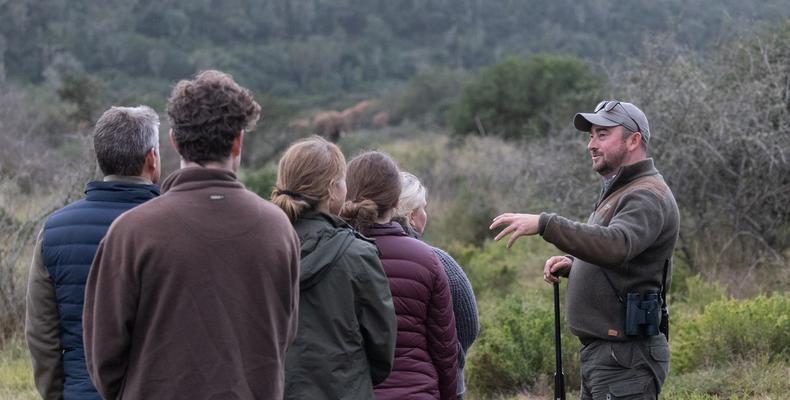 Guided bush walks