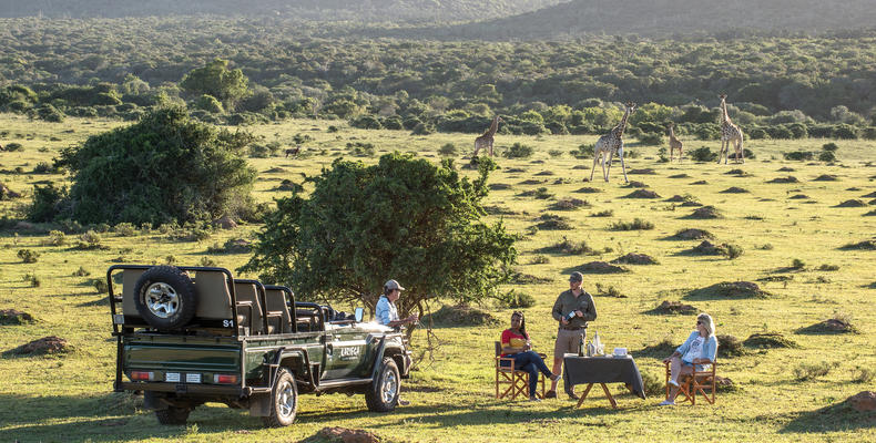 Game drive sundowners