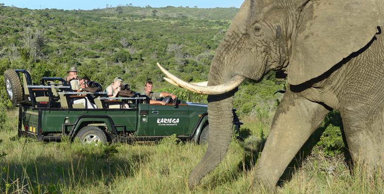 Game drive