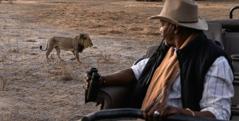 Wilderness Savuti