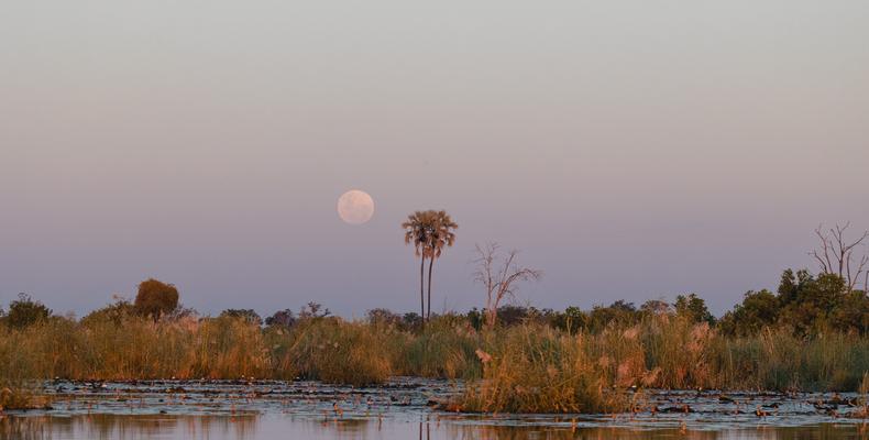 Wilderness DumaTau