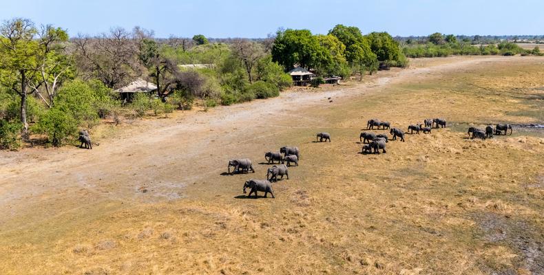 Zarafa Camp - Aerial View