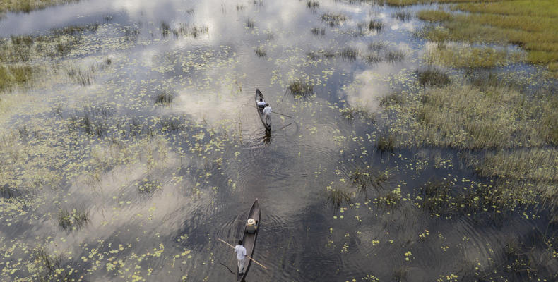 Wilderness Vumbura Plains