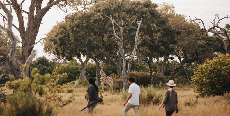 Wilderness Vumbura Plains