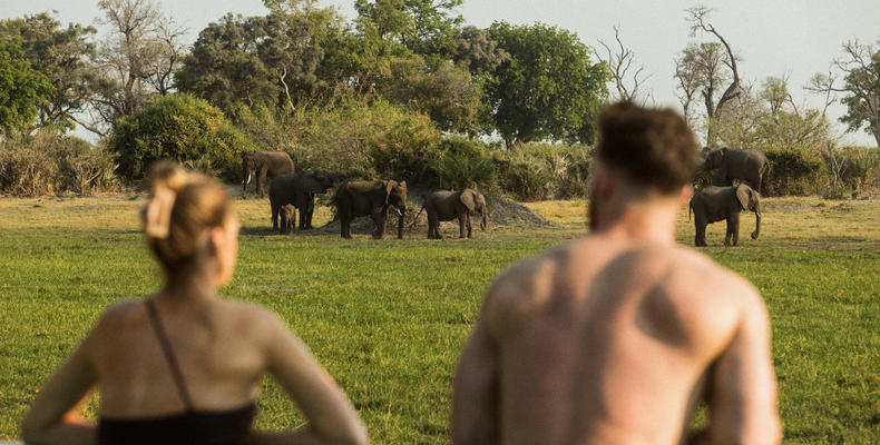 Wilderness Little Mombo