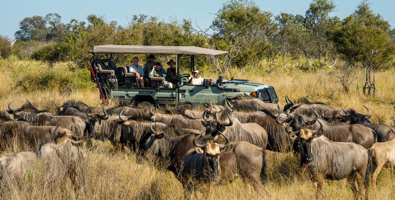 Game Drive
