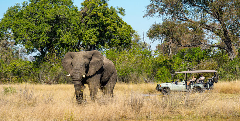 Game Drive