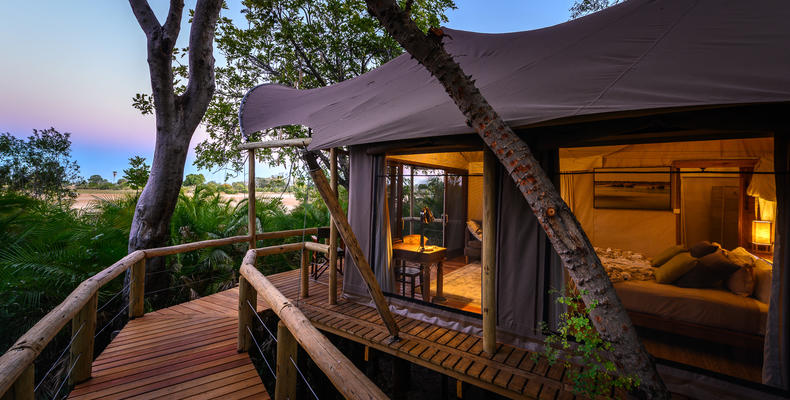 Jacana Camp Room