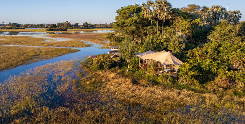 Jacana Camp Room