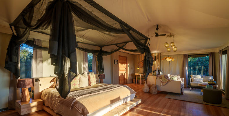 Tubu Tree Camp Room