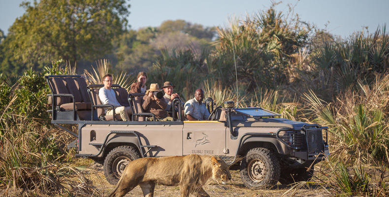 Game Drive