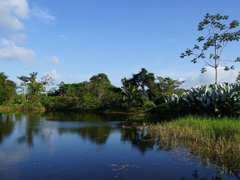 Boca Tapada Lagoon