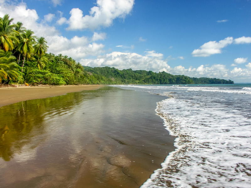Uvita