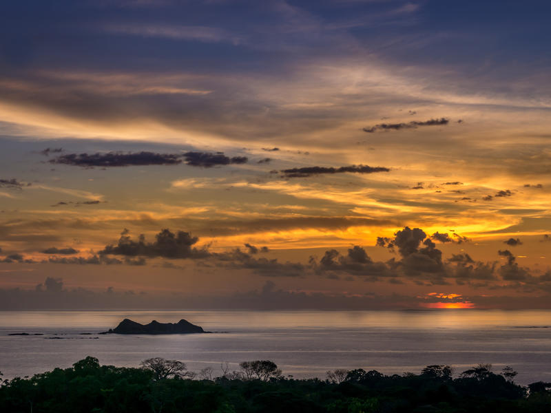 Uvita