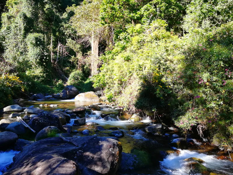 Savegre River