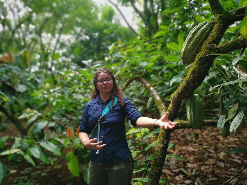 Guided Chocolate Tour