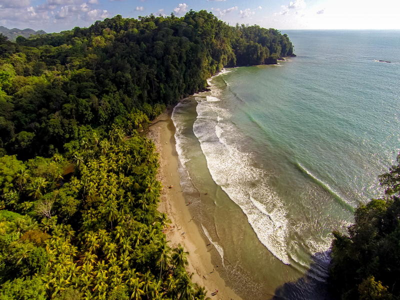 Uvita