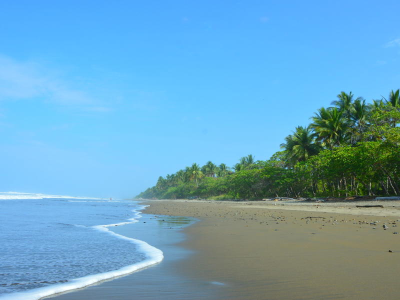 Dominical