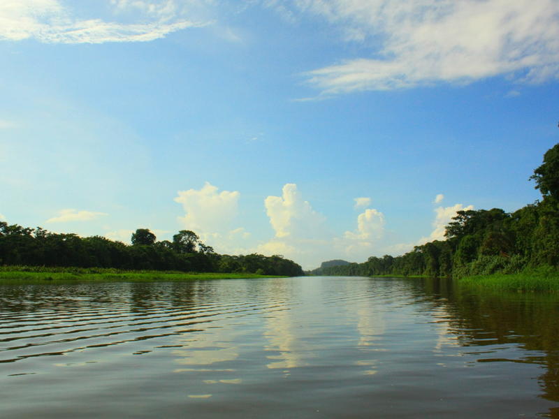 Tortuguero