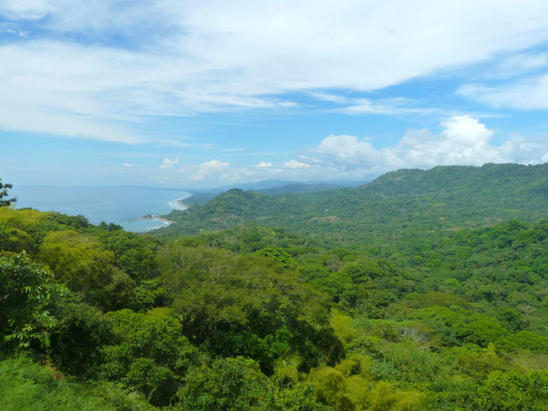 Dominical