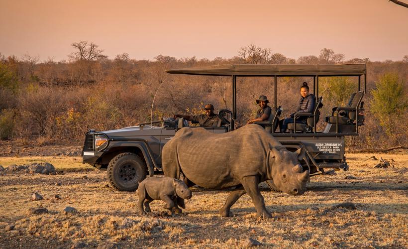 Black Rhino Experience & Game drives 