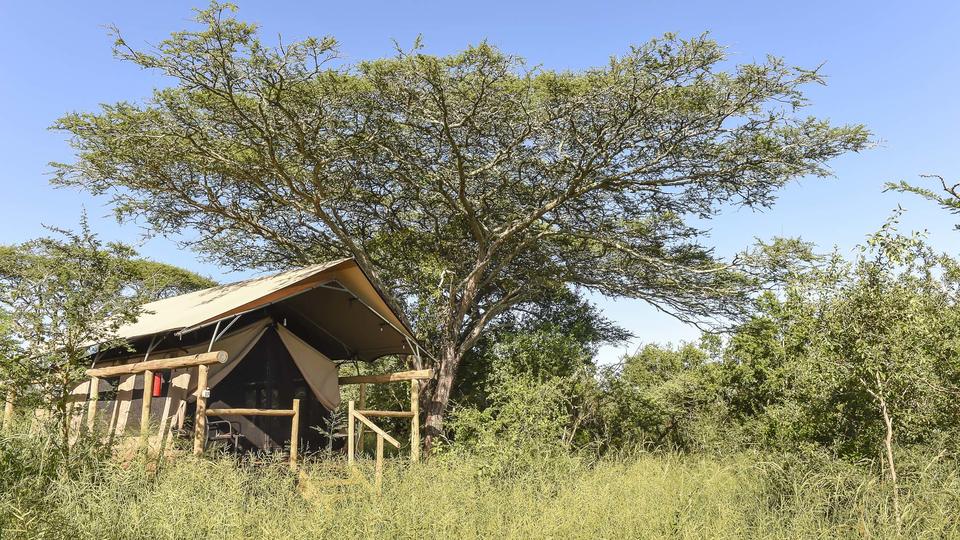 Zululand Lodge jedes Safari Lodge Zelt ist abgeschieden und privat