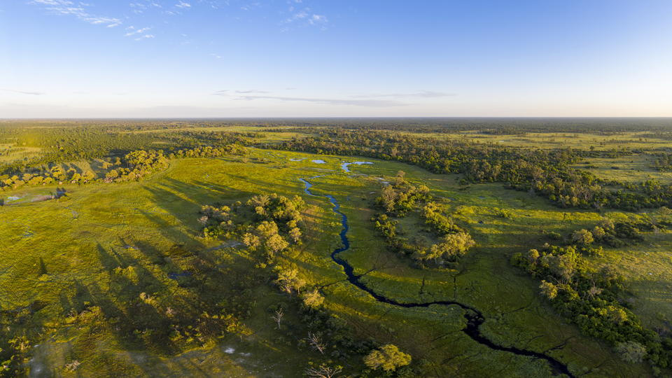 Little Sable (linke Baumgrenze) mit Blick auf die Auen des Okavango-Deltas