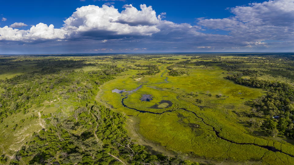 Little Sable in der Baumgrenze unten rechts mit Blick auf die Auen des Okavango