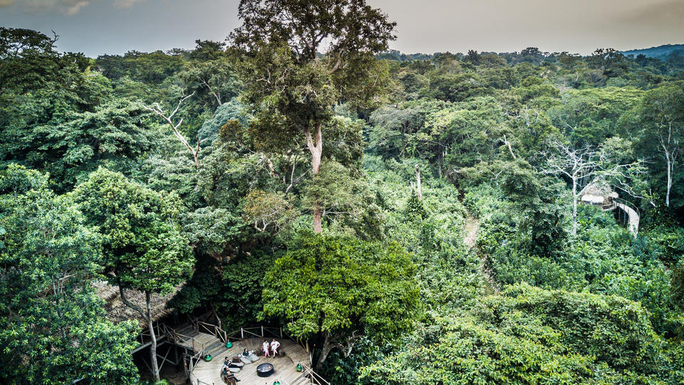 Im Wald von Ndzehi