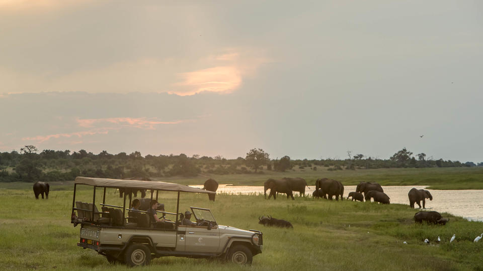 Genießen Sie die ruhigere Western Chobe auf den morgendlichen und nachmittags Pirschfahrten.