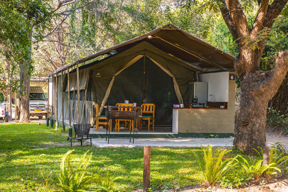 Safarizelt unter schattigen Bäumen und Rasen.